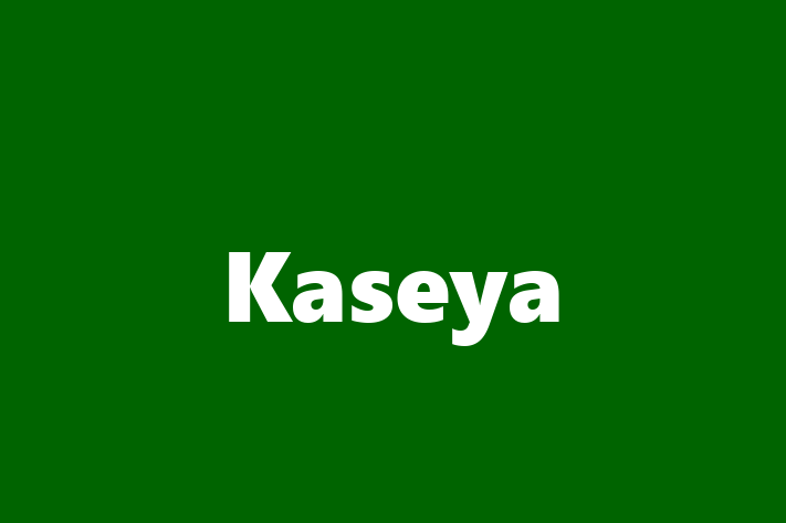 Software Solutions Provider Kaseya