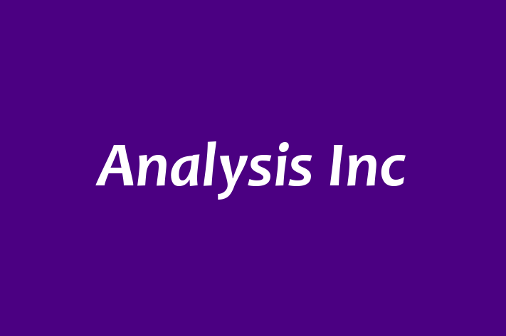 Software Development Company Analysis Inc