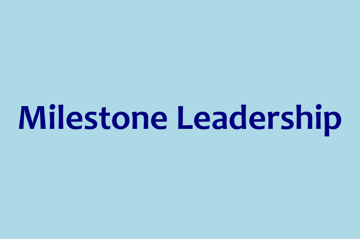 Software Consultancy Milestone Leadership