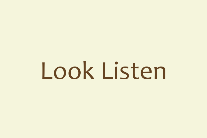 Software Consultancy Look Listen