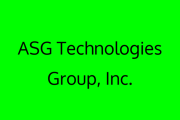 Digital Solutions Provider ASG Technologies Group Inc.