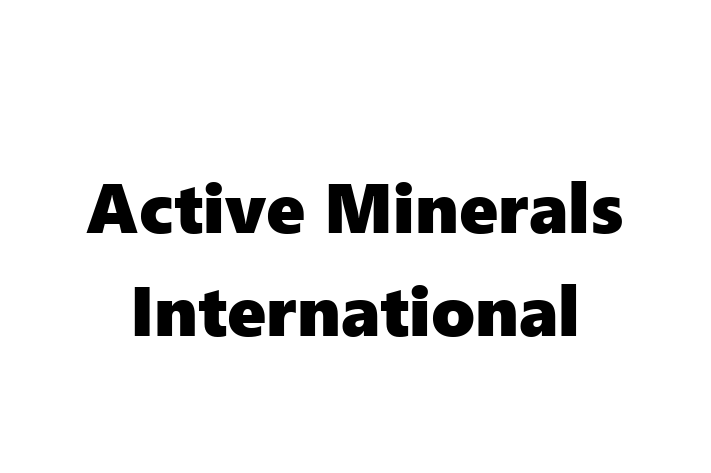 Human Capital Management Active Minerals International