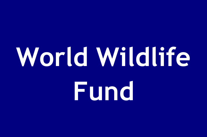 Labor Relations World Wildlife Fund