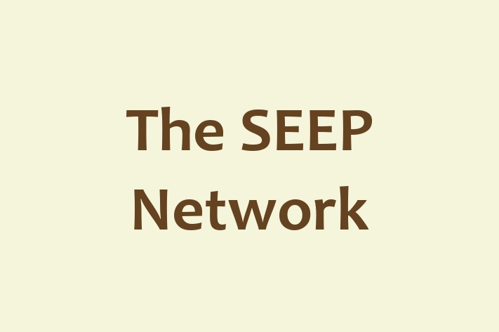 Tech Solutions Company The SEEP Network