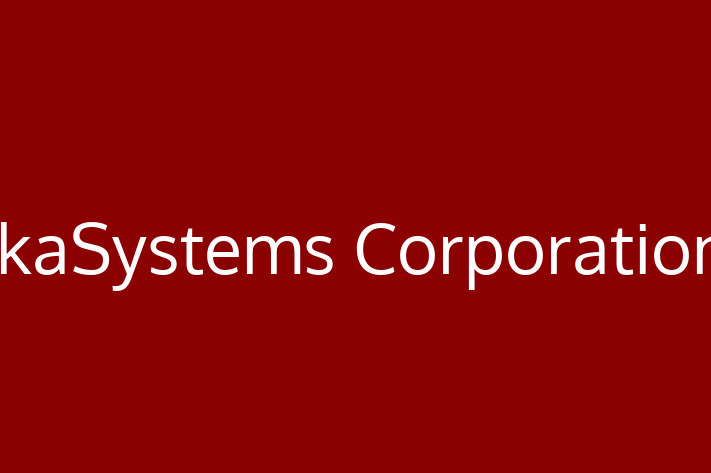 Tech Solutions Company ikaSystems Corporation