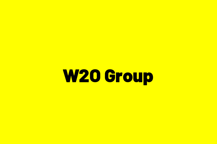 Software Development Company W2O Group