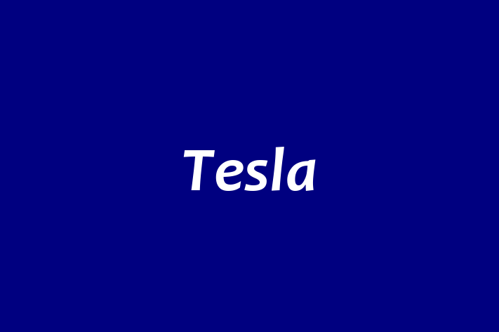 People Management Tesla