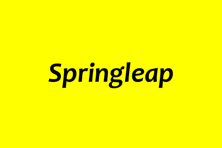 Tech Solutions Company Springleap