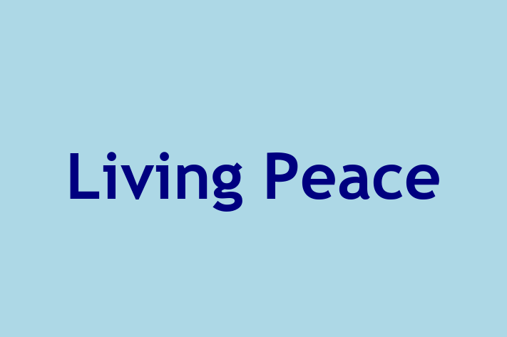 Software Consultancy Living Peace