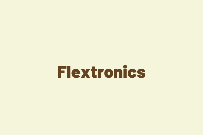 Software Development Company Flextronics