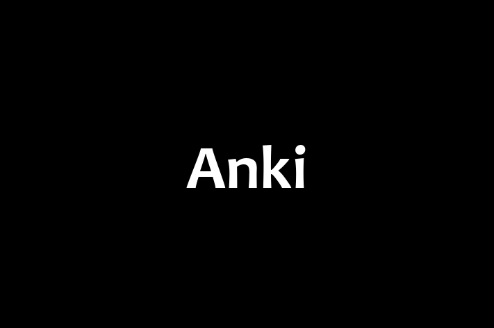 Digital Solutions Provider Anki