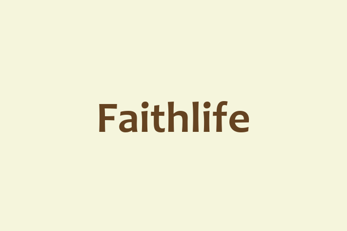 Software House Faithlife