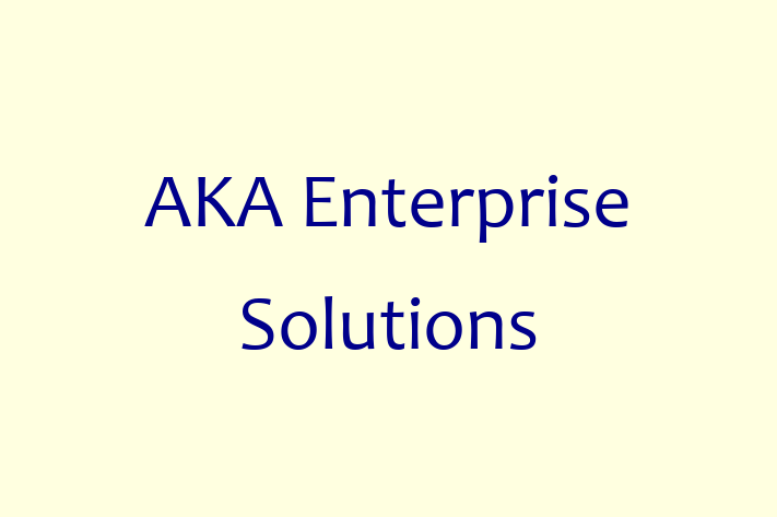 Digital Solutions Provider AKA Enterprise Solutions