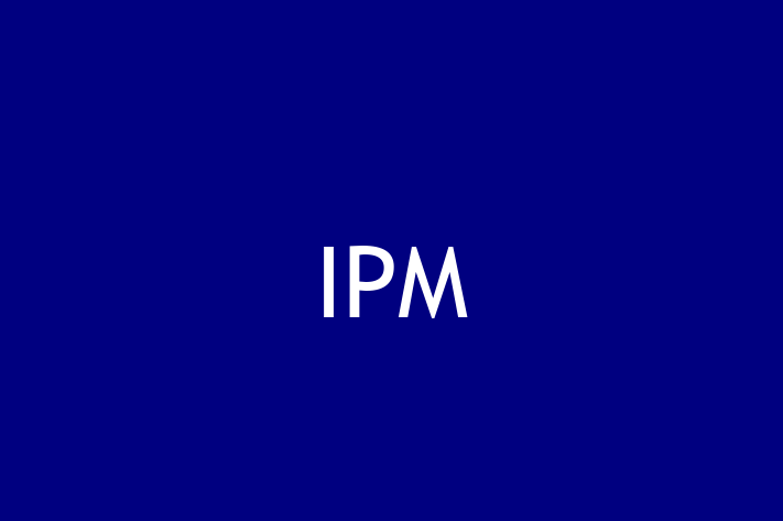 Digital Solutions Provider IPM