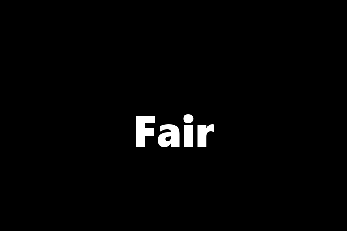 Software Firm Fair