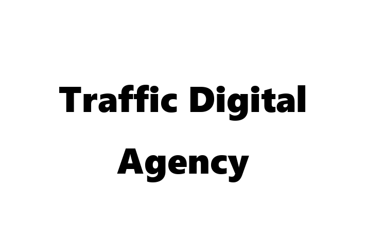 Software Consultancy Traffic Digital Agency