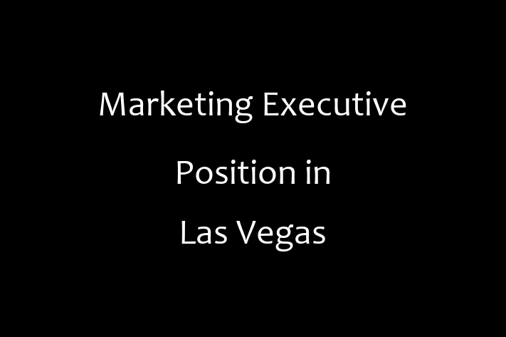 Marketing Executive Position in Las Vegas