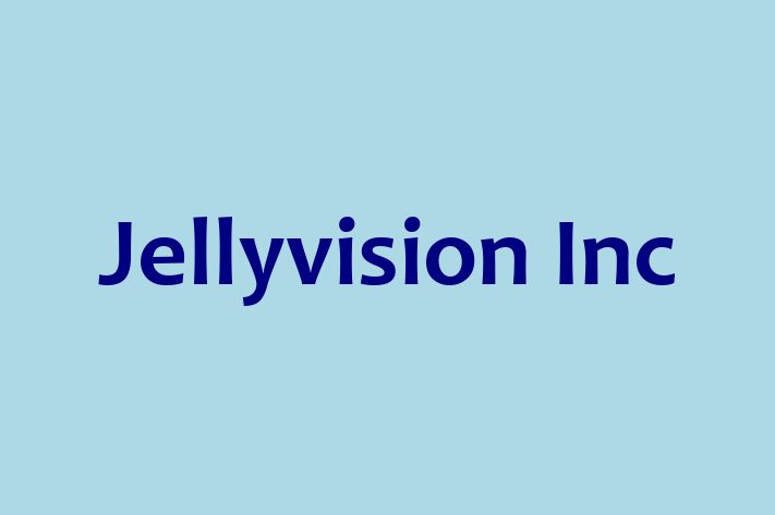 Software Development Company Jellyvision Inc