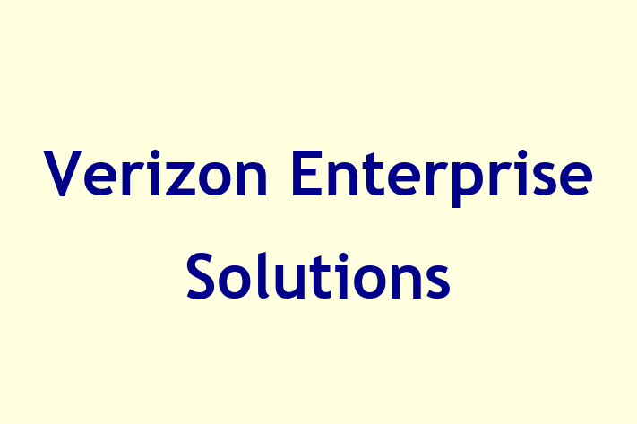 Software Consultancy Verizon Enterprise Solutions