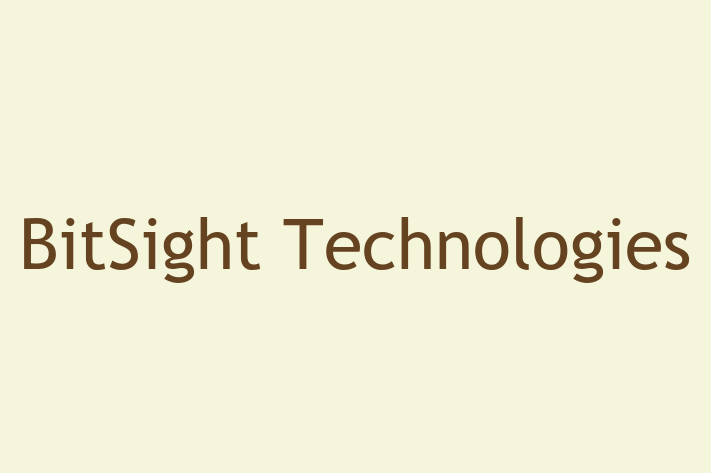 Technology Company BitSight Technologies