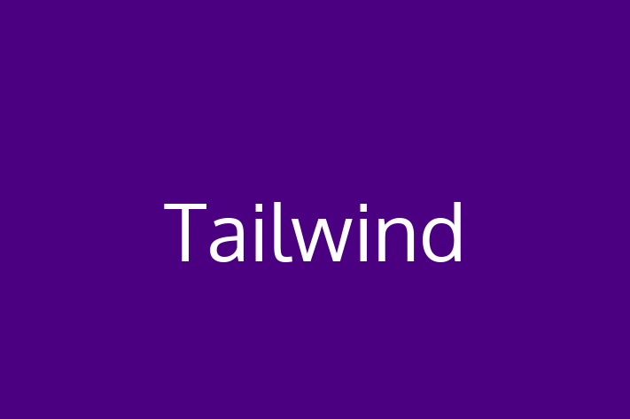 Software Development Company Tailwind