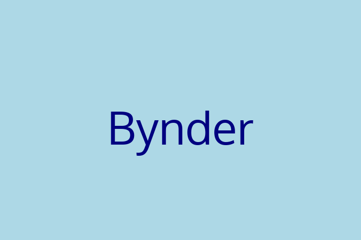 Software Consultancy Bynder