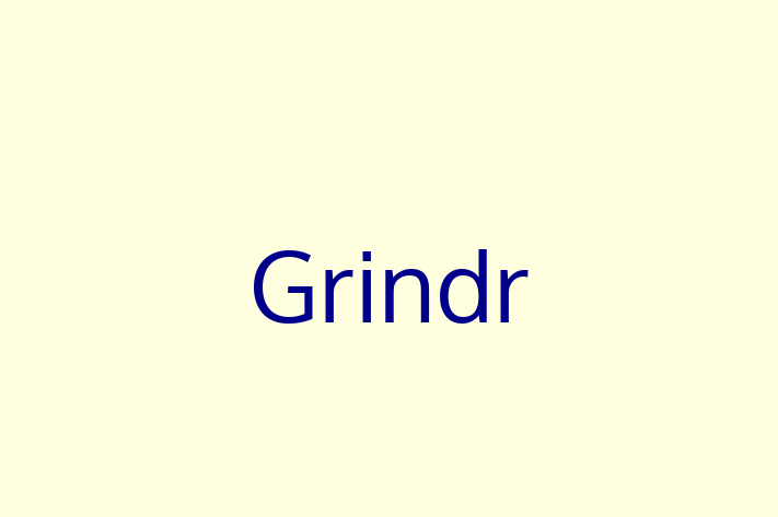 Software Services Company Grindr