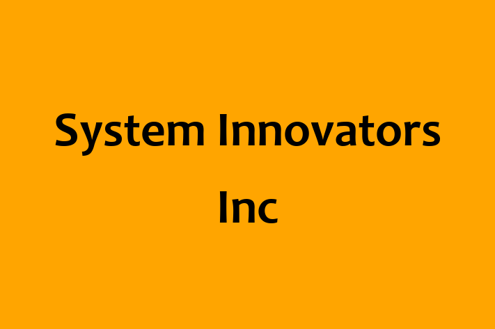 Software Services Company System Innovators Inc