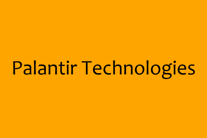 Software Services Company Palantir Technologies