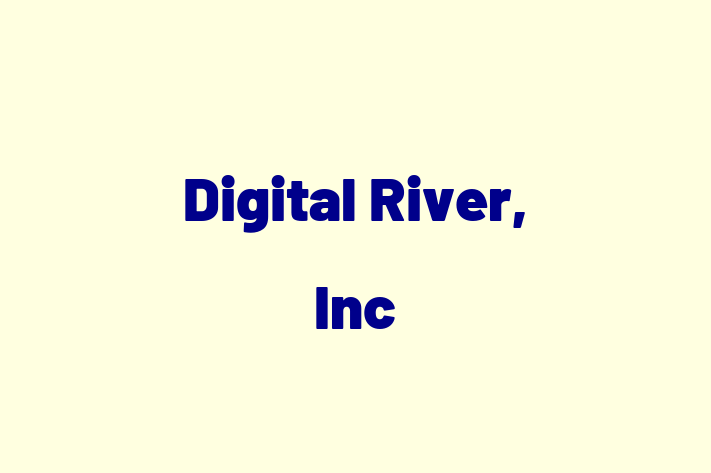 Technology Solutions Firm Digital River Inc