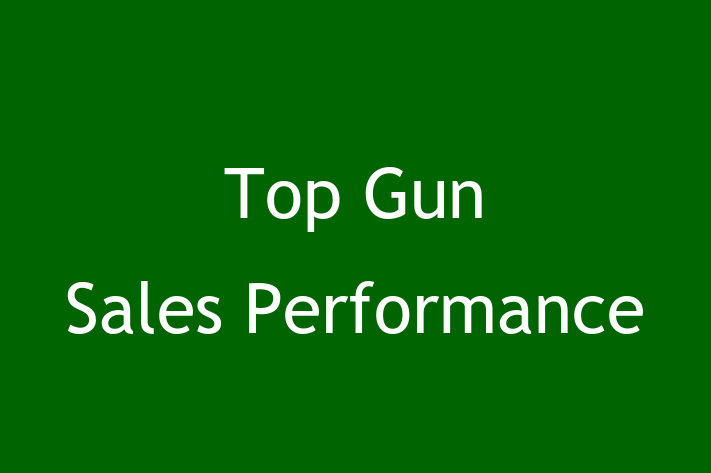 Software Development Firm Top Gun Sales Performance