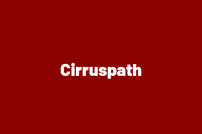 Software Firm Cirruspath