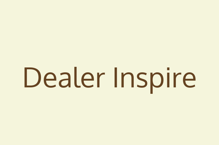 Software Development Firm Dealer Inspire