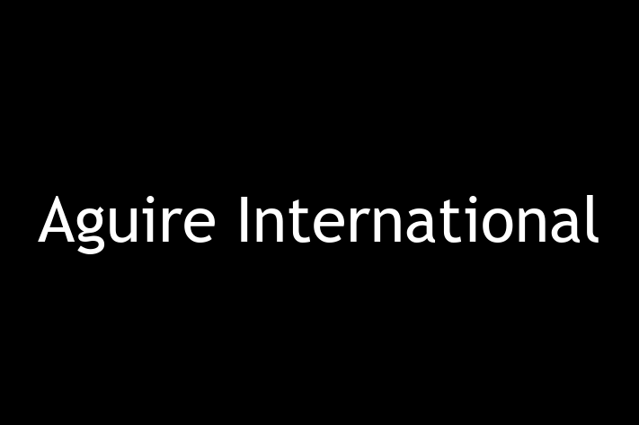 Software Engineering Company Aguire International