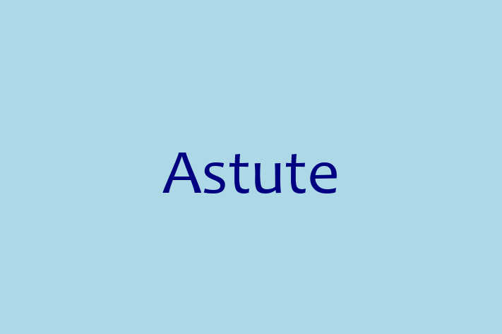 Software Engineering Company Astute