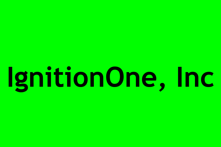 IT Company IgnitionOne Inc