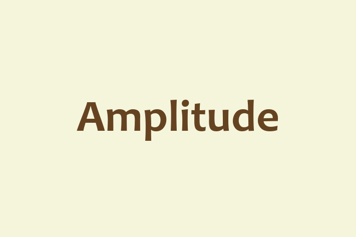 Technology Company Amplitude