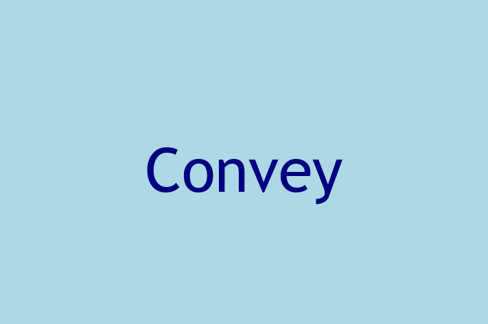 Tech Firm Convey