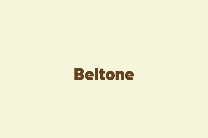 Employee Relations Beltone