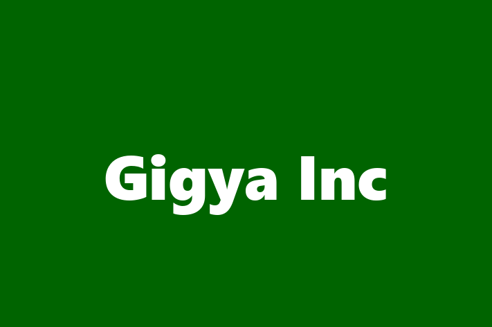 Application Development Company Gigya Inc