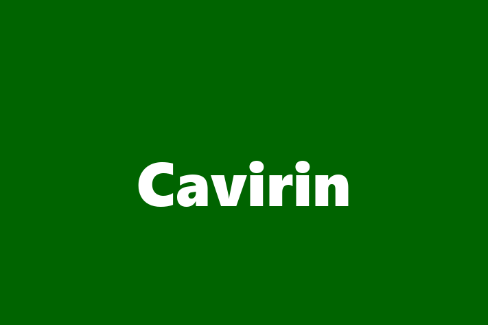 Software Services Company Cavirin