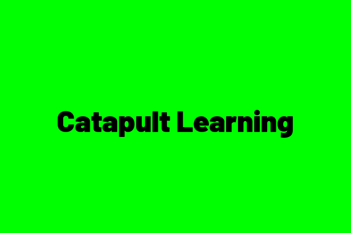 Human Capital Management Catapult Learning