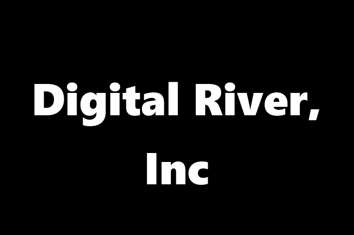 Technology Company Digital River Inc