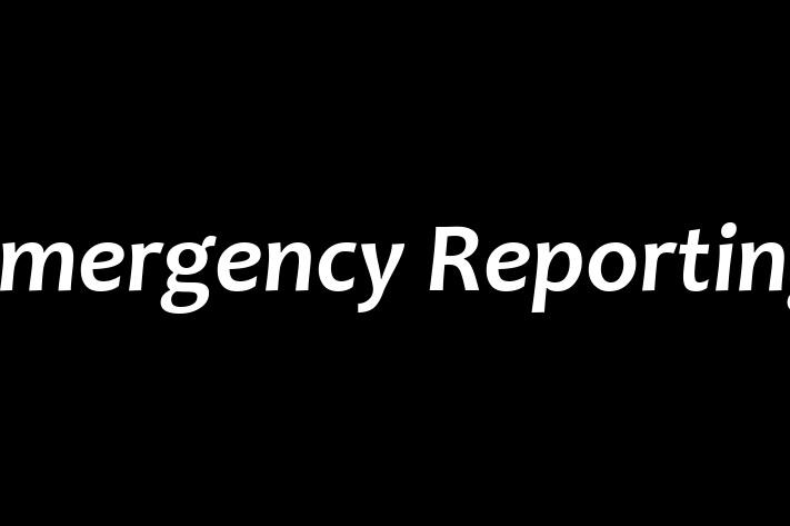 Tech Solutions Company Emergency Reporting