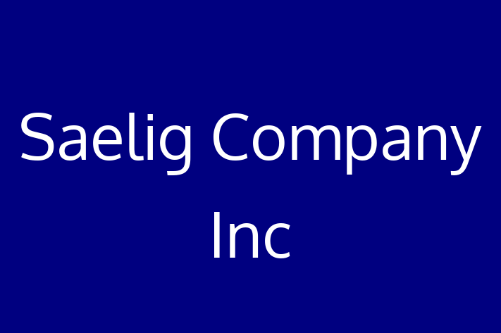 Software Engineering Company Saelig Company Inc