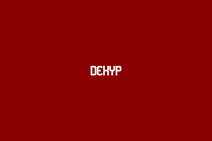 Tech Firm DexYP