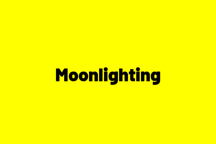 Tech Solutions Company Moonlighting