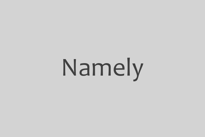 Digital Solutions Provider Namely