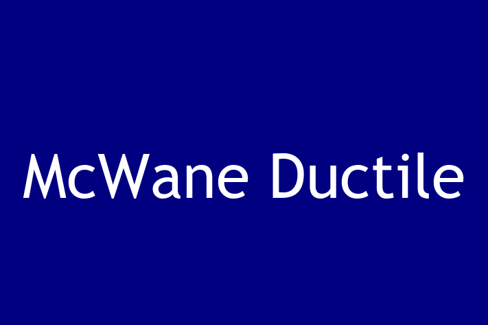 Technology Solutions Firm McWane Ductile