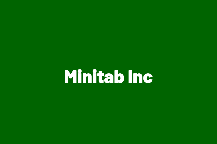 Software Development Company Minitab Inc